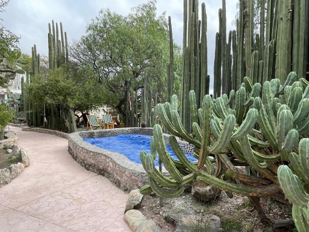 Boutique la Posada de Don Luis - Housity