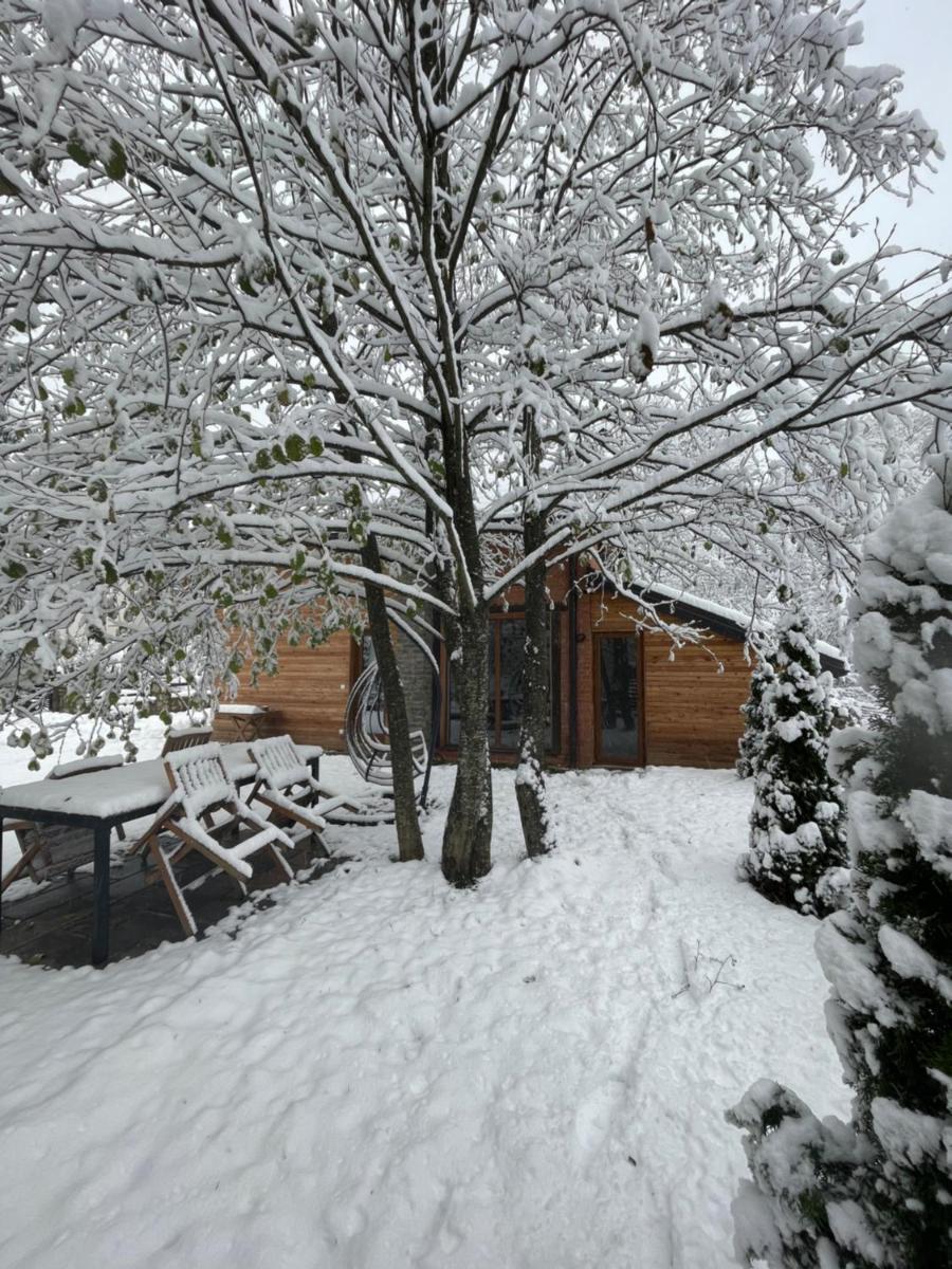 Suitetrails - Villa Alpina Brezovice