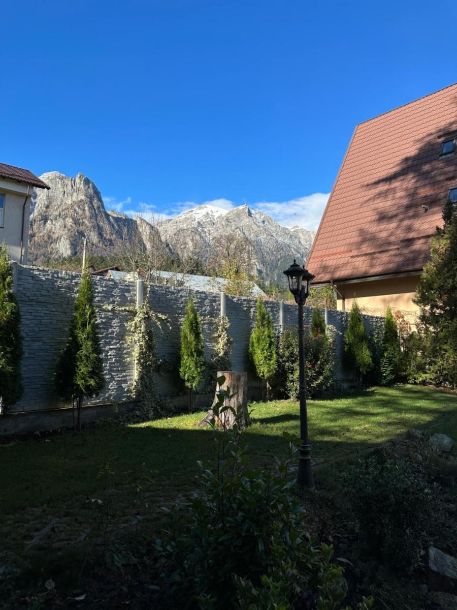 Royal Inn Busteni-Adults Only - Housity