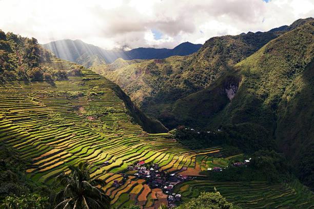 Coree Bed and Free Breakfast and Ifugao Hospitality - Housity