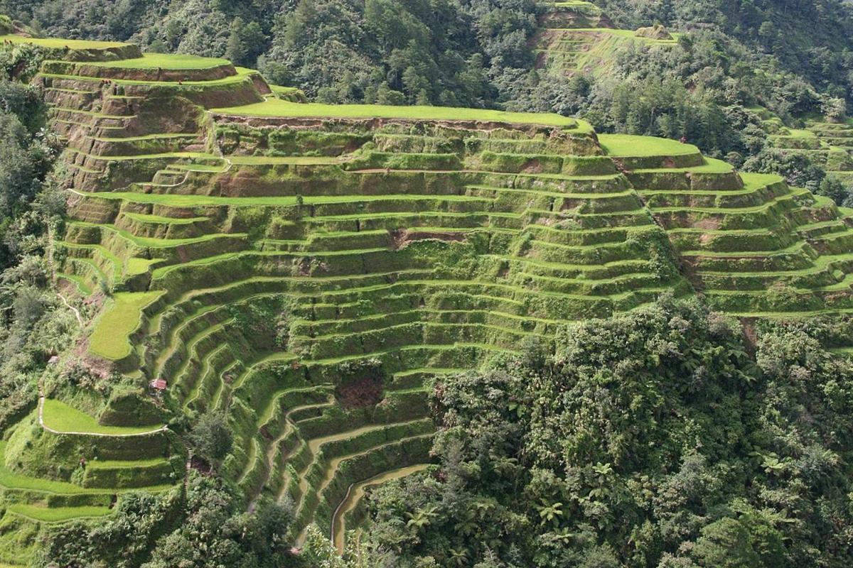 Coree Bed and Free Breakfast and Ifugao Hospitality - Housity
