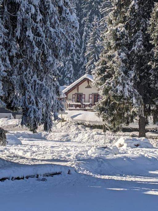 Chalet des glaciers - Housity