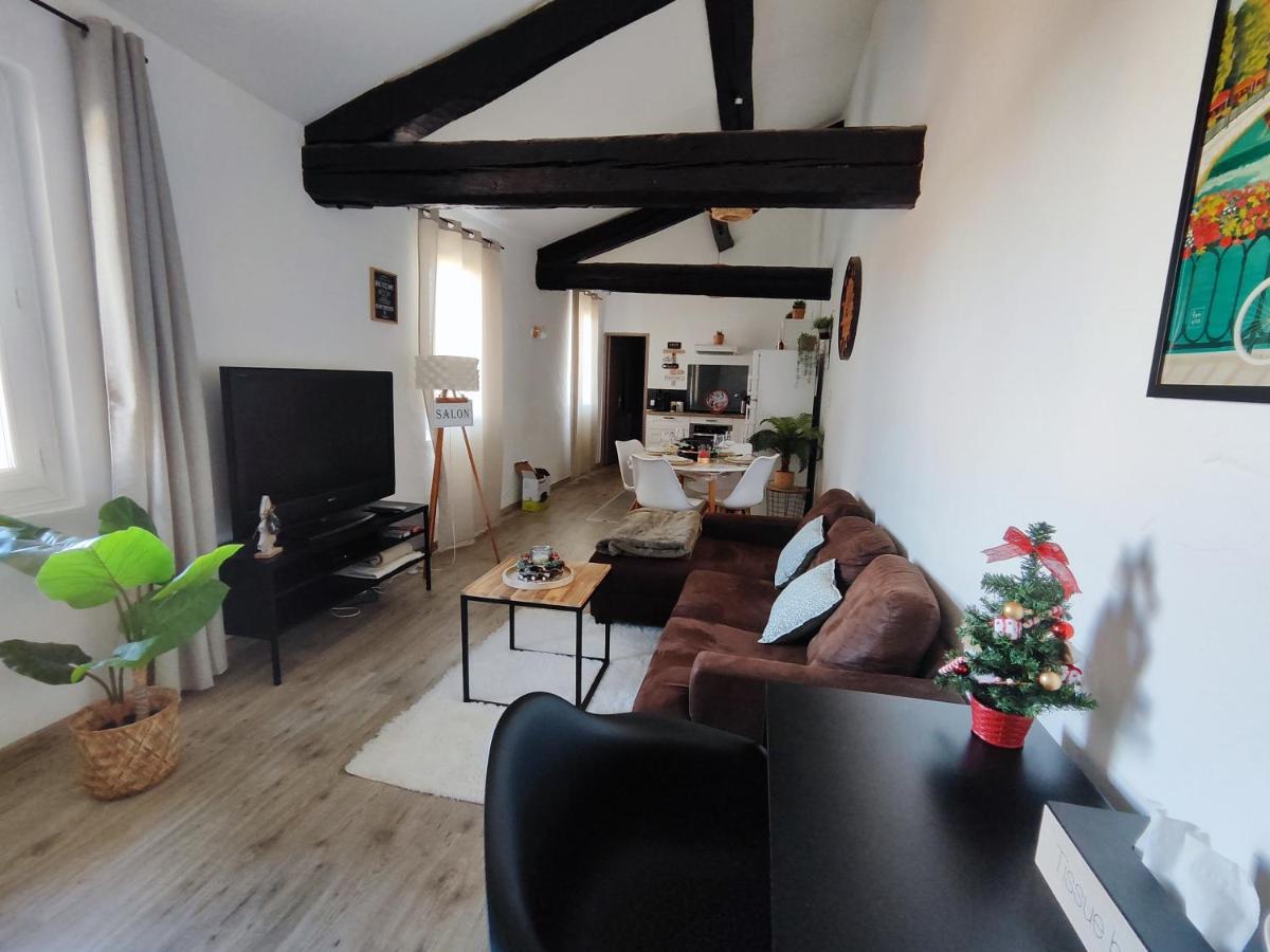 Appartement de Charme L'Isle-sur-la-Sorgue sur la Sorgues - Housity