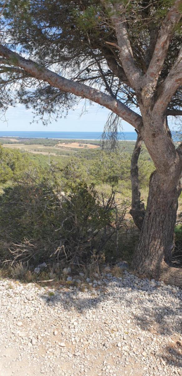 studio gruissan proche plage des chalets - Housity