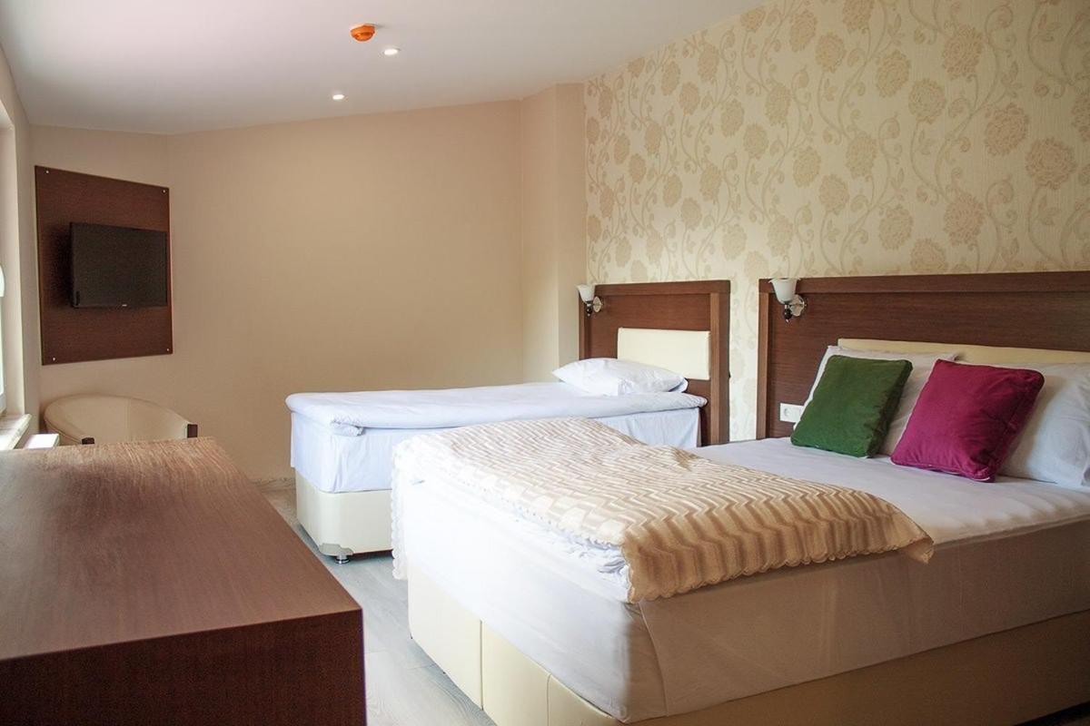 Hotel Green Valley Savsat - Housity