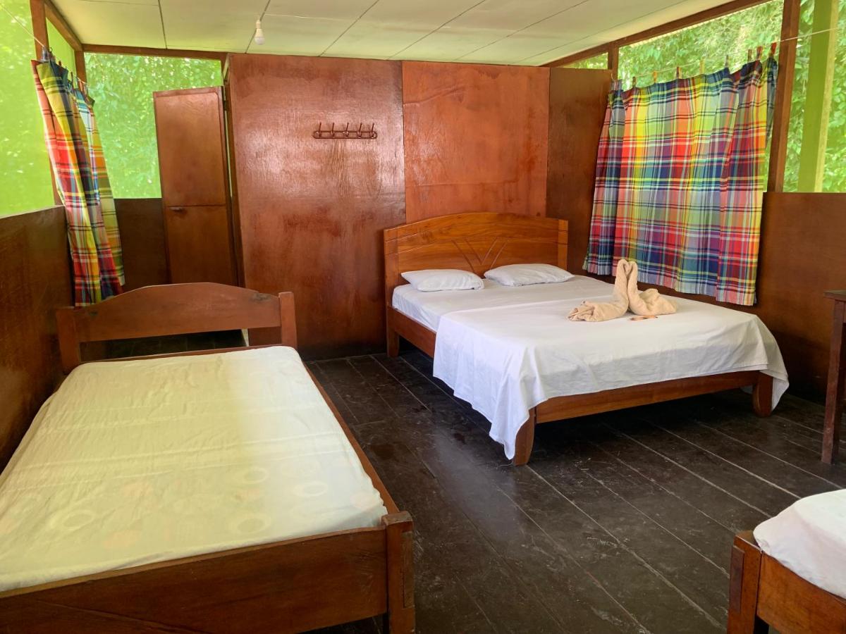 Ayahuasca Eco Tours - Housity