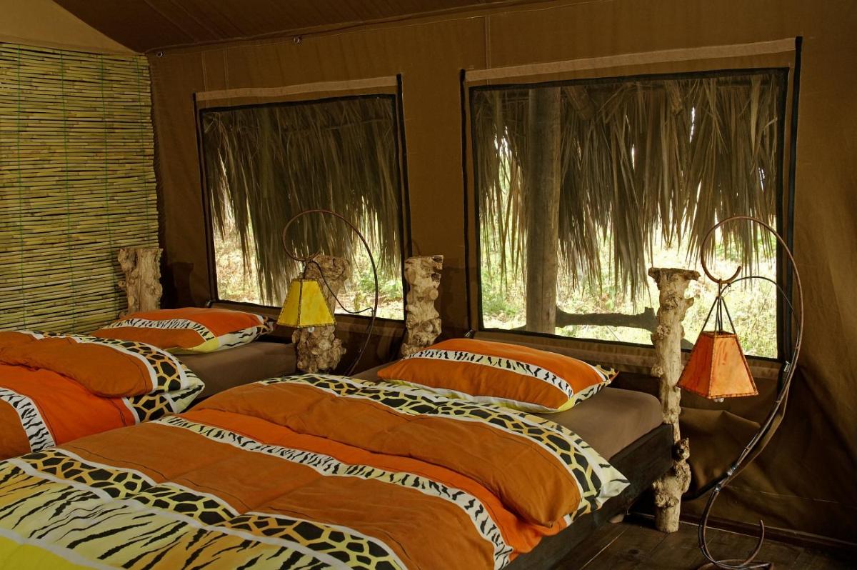 Crater Forest Tented Lodge - Housity
