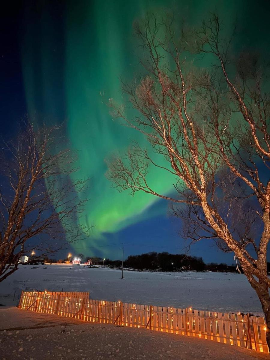 Midnattsolveien 3158,Sommarhusstrand Laukvik Lofoten Norway - Housity