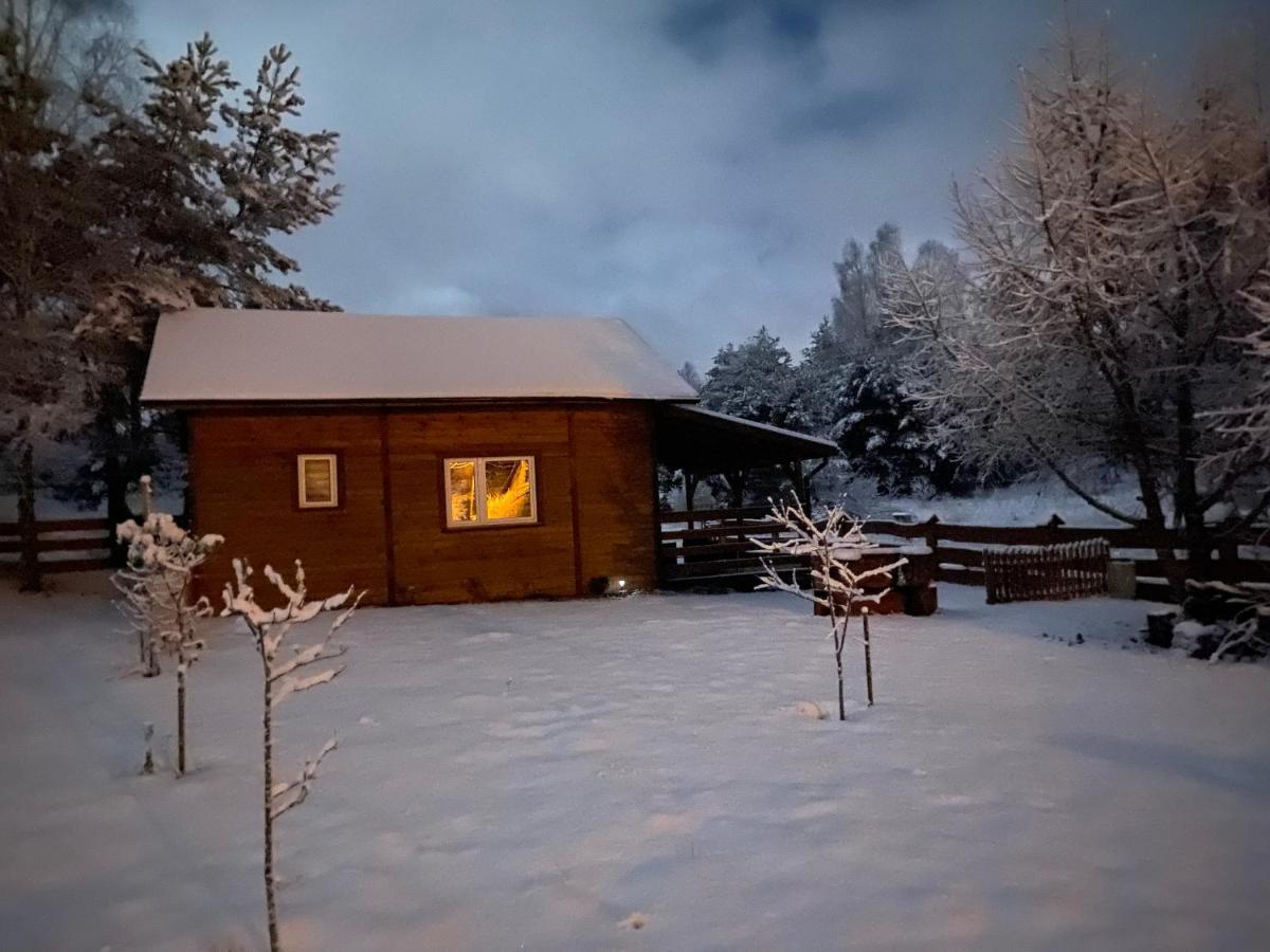 Domek Leśne Zacisze - Housity