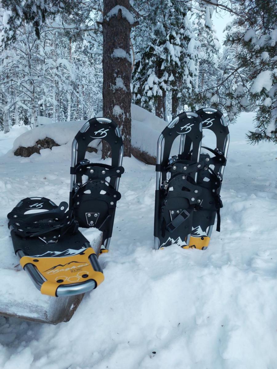 Bed & Breakfast Willa Armas - Housity