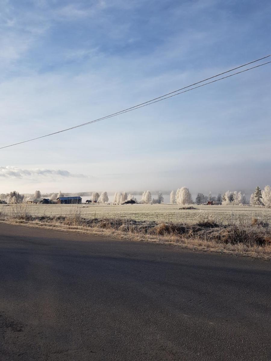 Bed & Breakfast Willa Armas - Housity