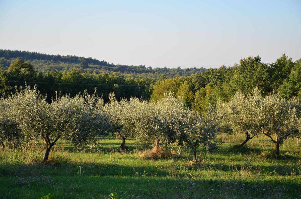 Villa Olivetta by Istrian Country Houses - Housity