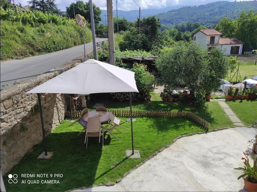 RoHouse -Experience- - Housity