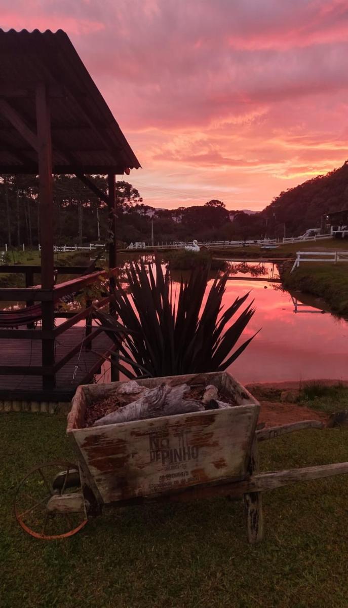Pousada Nó de Pinho - Housity