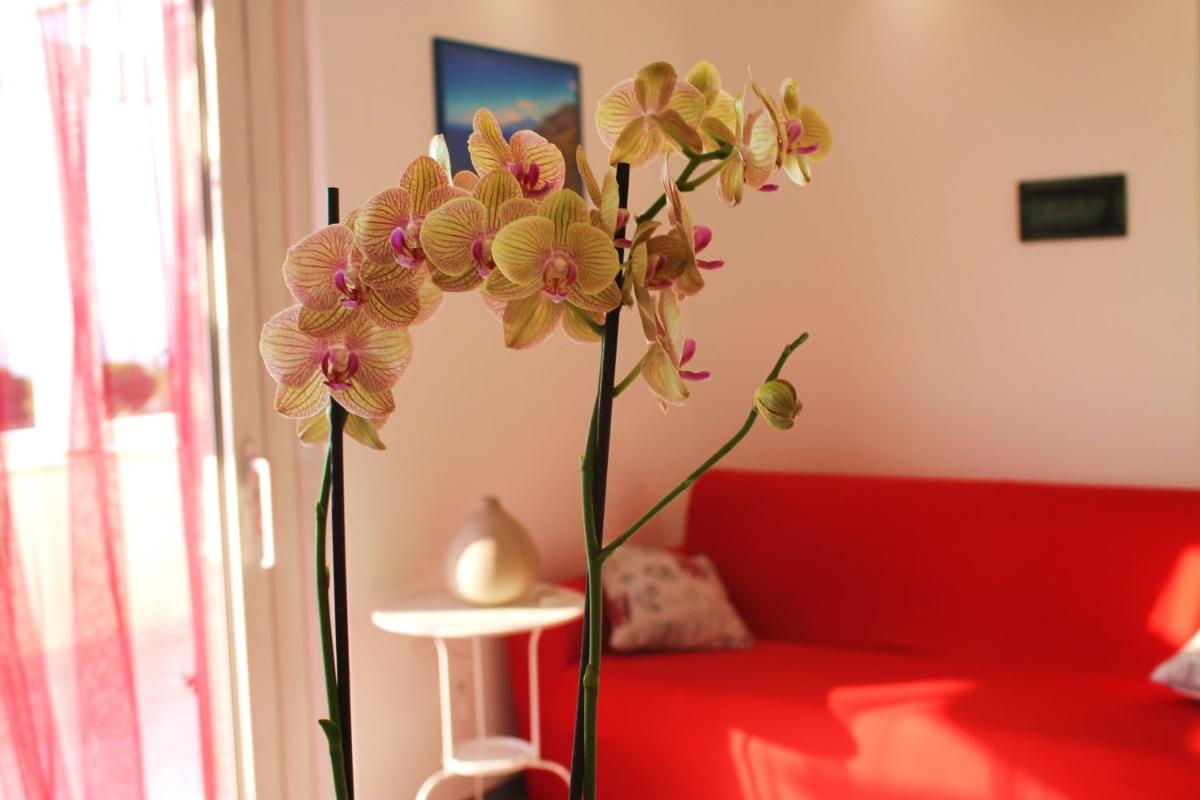Baia del Sol Balestrate - Housity