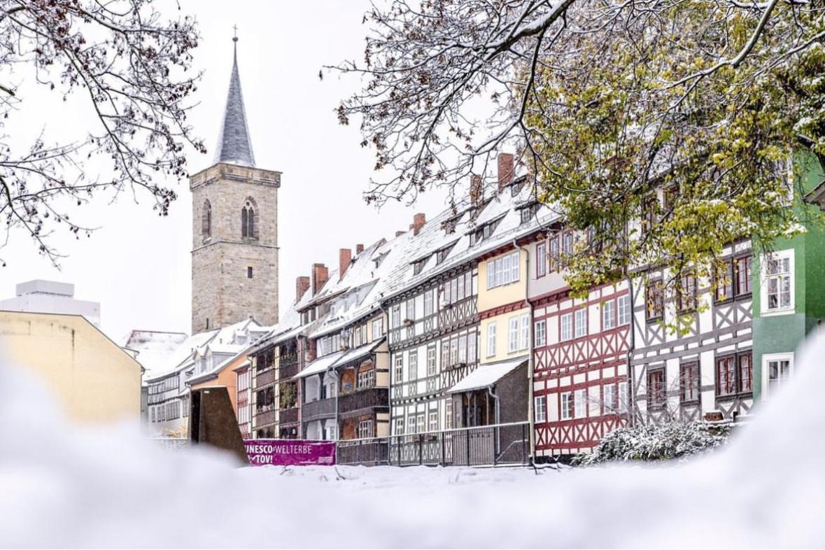 -Apartment am Luisenpark-perfekte Lage im Grünen für Ihren Aufenthalt - Housity