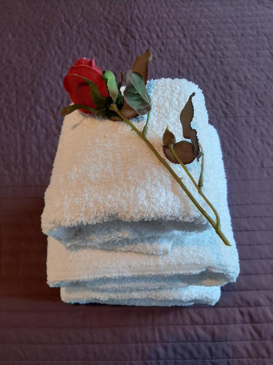 City Center Boutique Apartment - Housity