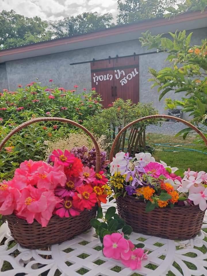 Tung Na Pa Suan Farmstay - Housity