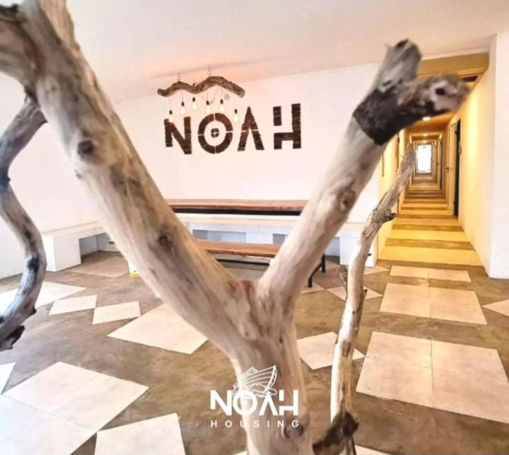 Noah Housing - Housity
