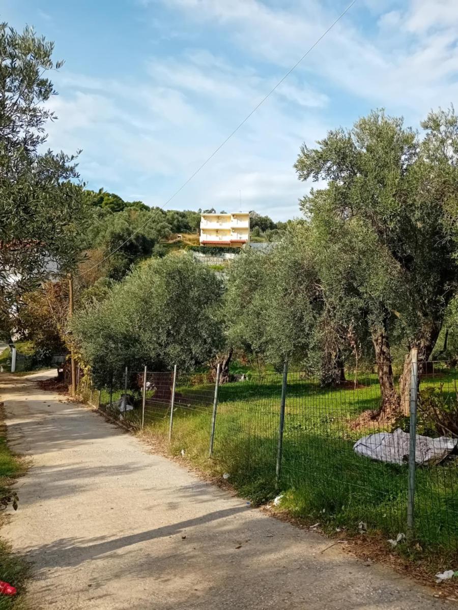 Villa Krini - Housity