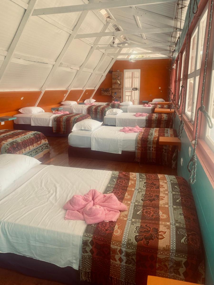 Hotel La Casa Rosada - Hizvo