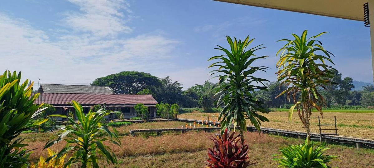 Ban Lom Jen Homestay - Housity