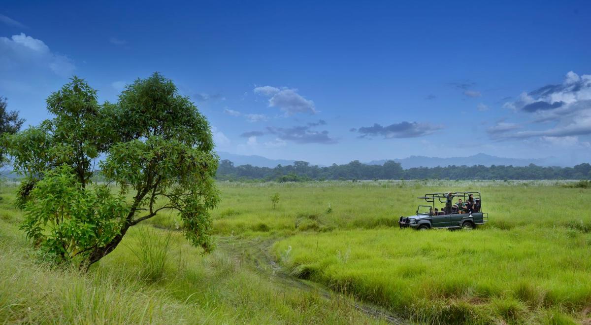 Barahi Jungle Lodge - Housity