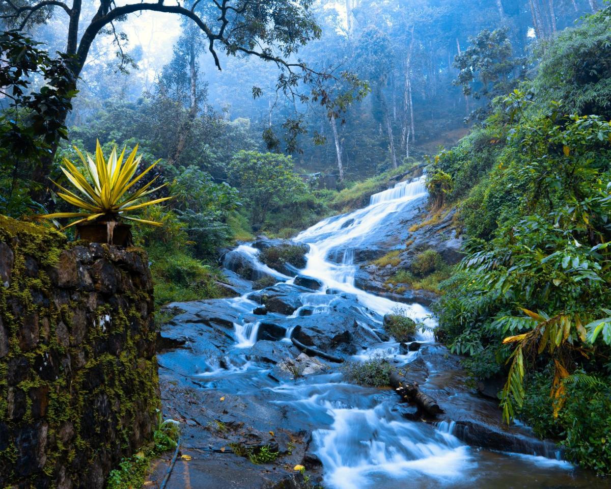 Falling Waters Munnar - Housity