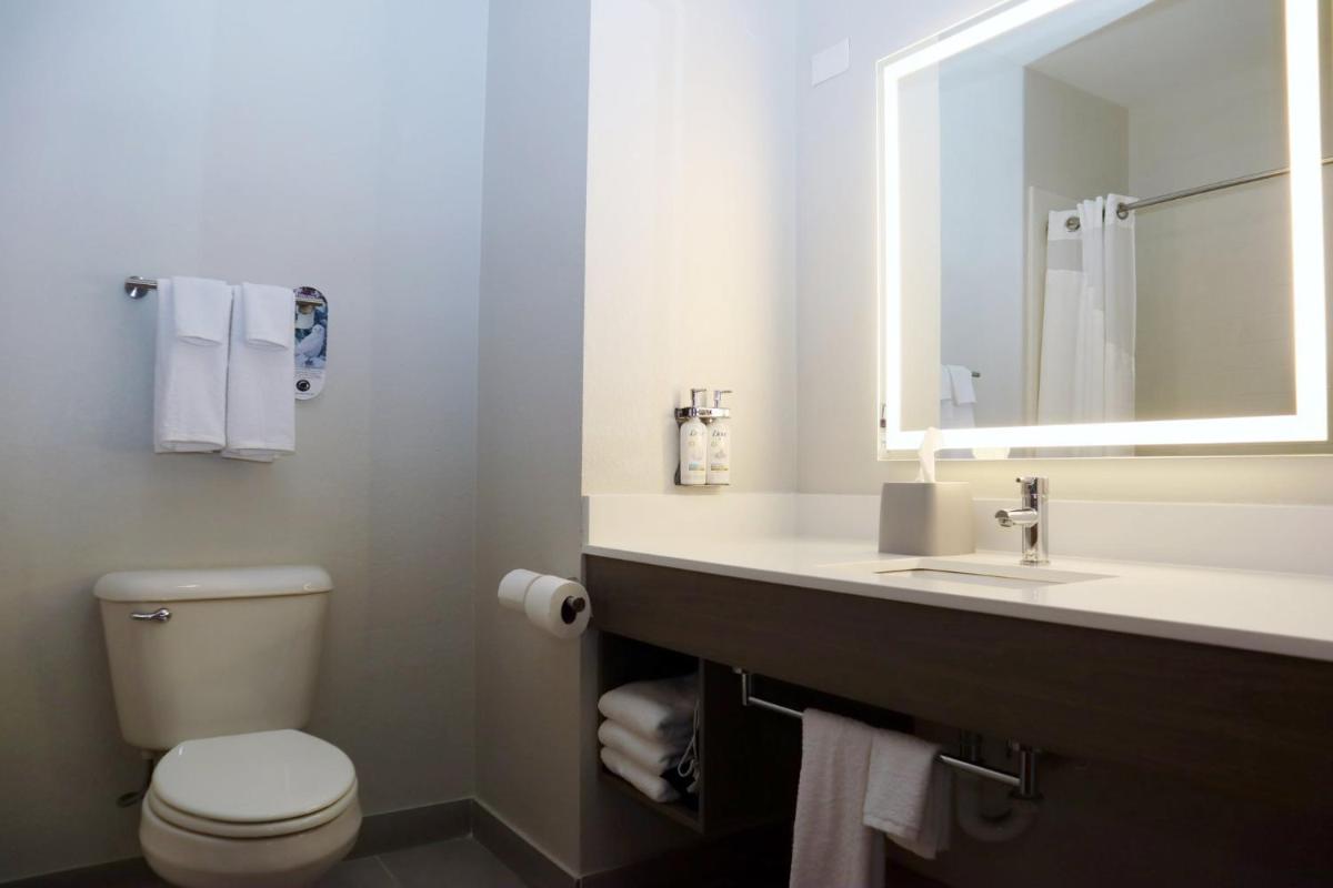 Holiday Inn Express Baton Rouge North by IHG - Housity