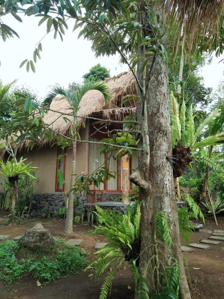 Narta Guest House - Housity