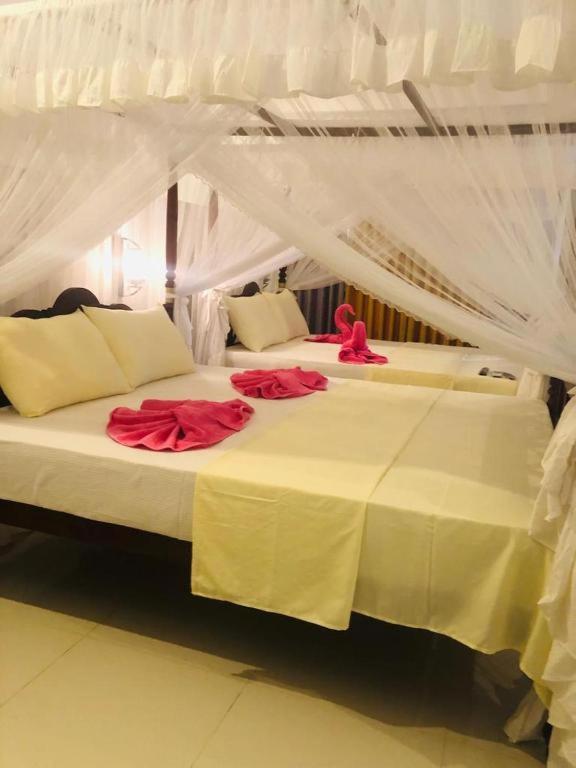 Coral Palm Villa and Apartment - Housity