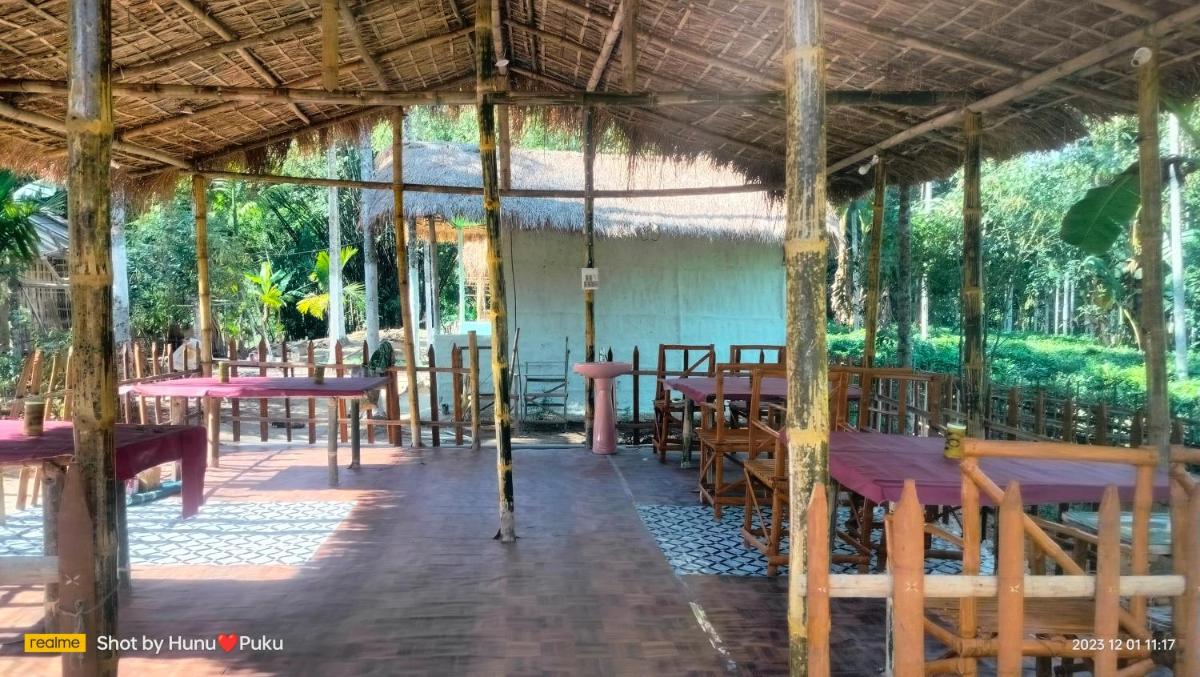 Tranquil Bambusic Bliss - Housity