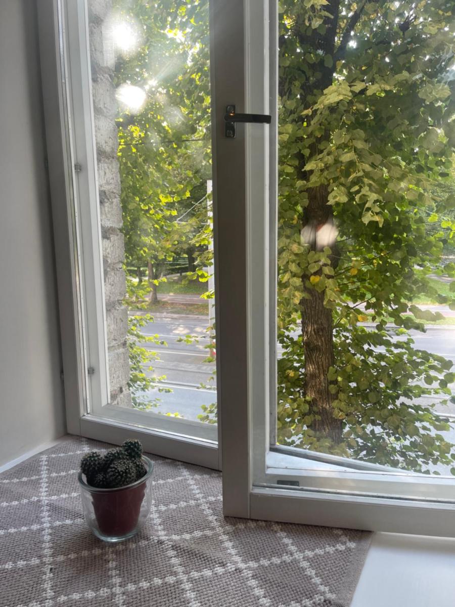 Deluxe art apartment in heart of Tallinn - Housity