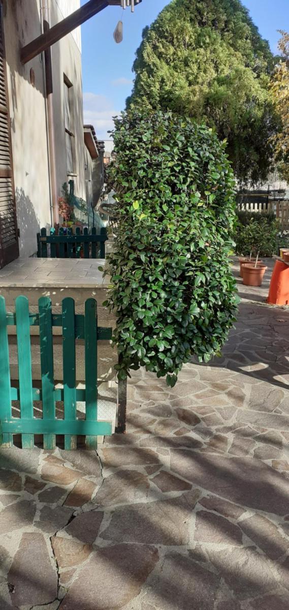 B&B La Camelia - Housity