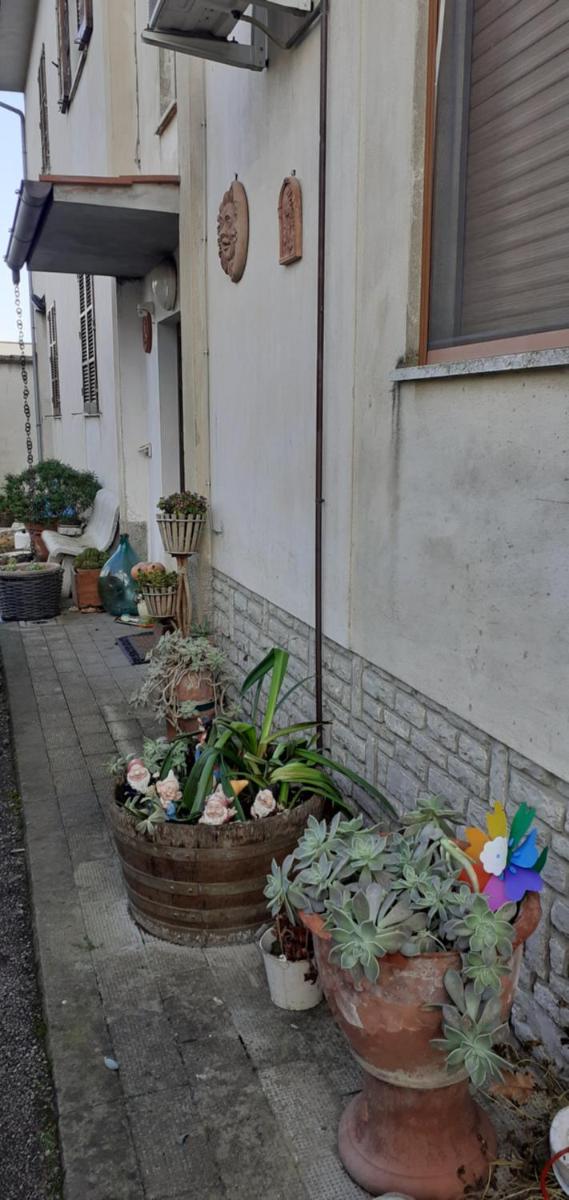 B&B La Camelia - Housity