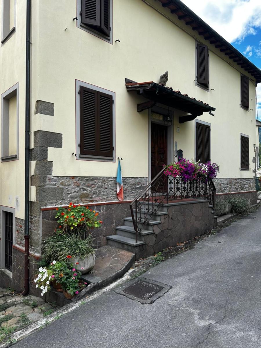 A COLLODI IO & MAMMA - Housity