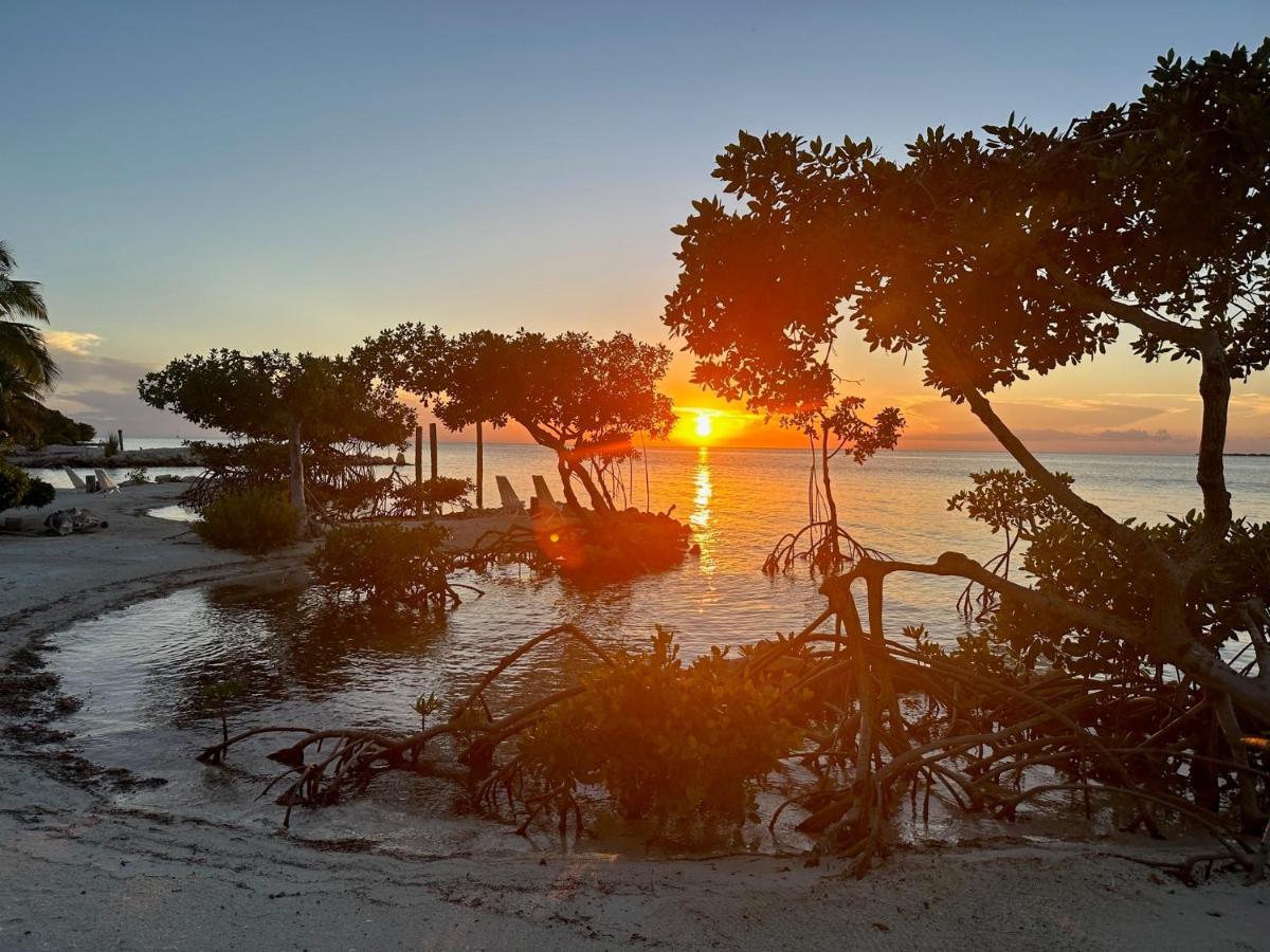 The Bounty - Housity