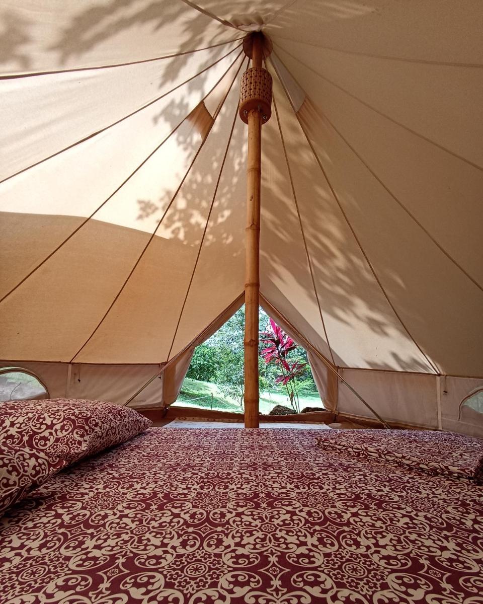 Alouatta Playa Coyote - Housity
