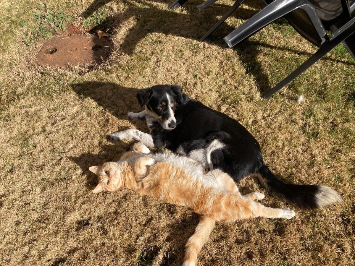 Old Mill Inn - Housity