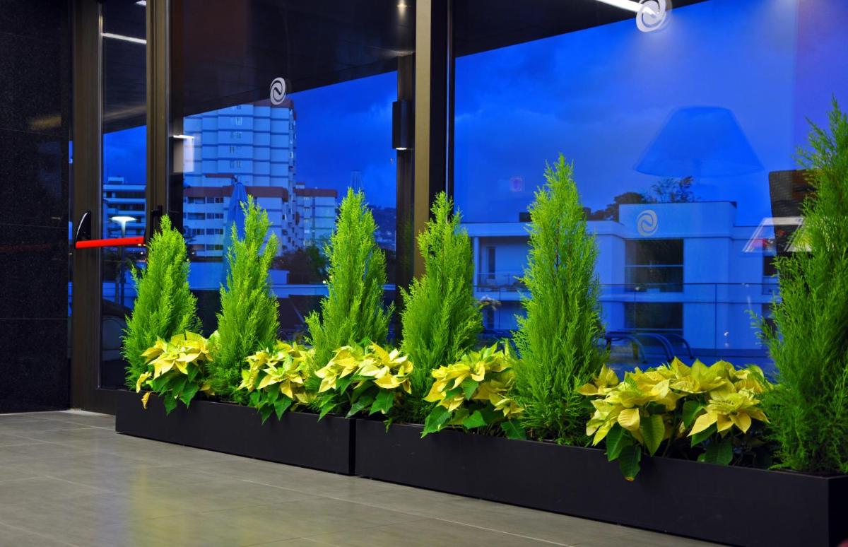 Imagem da galeria de Enotel Magnólia no Funchal