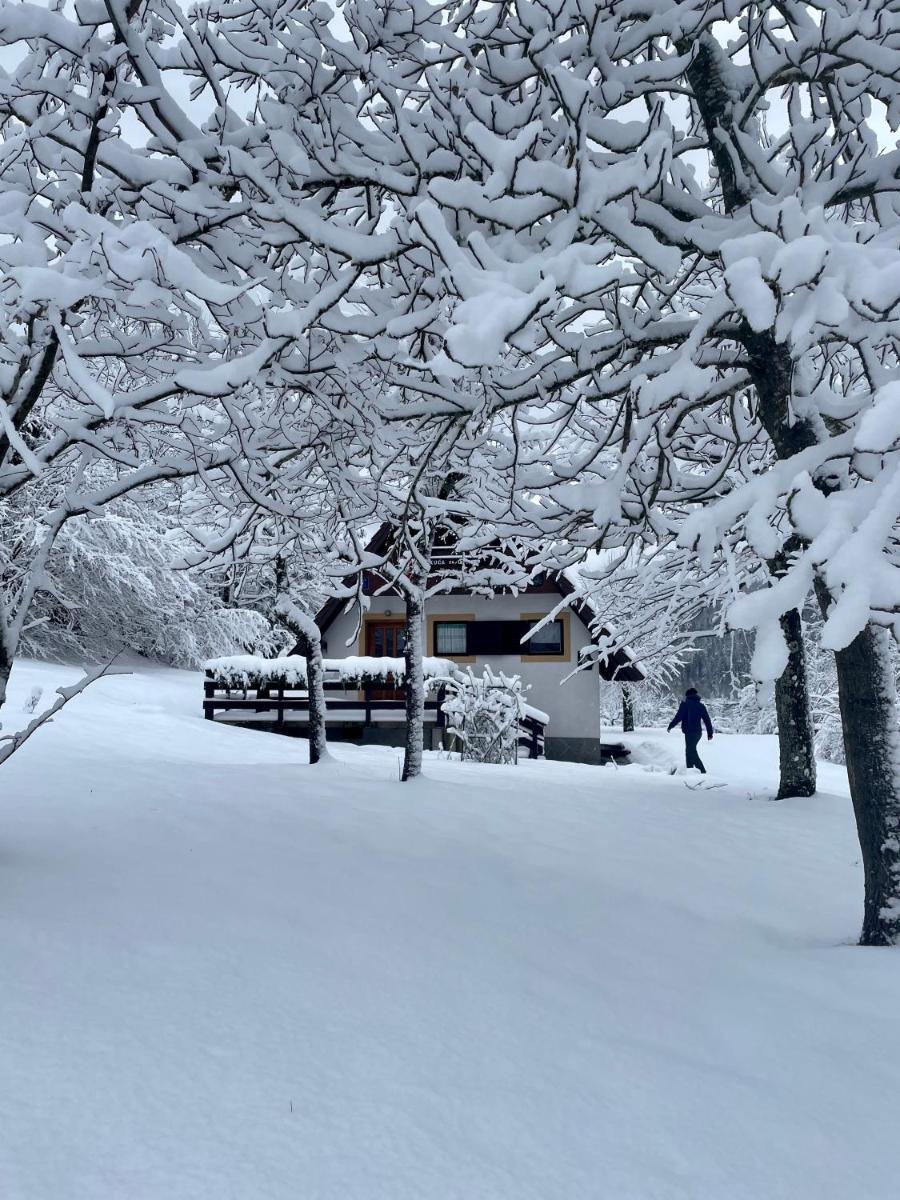 Holiday home Bozica - Housity