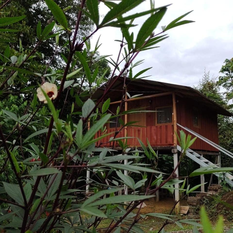 Cabaña En El Bosque - Housity