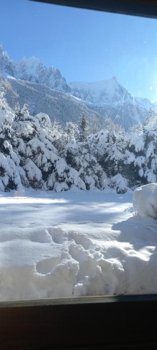 APPARTEMENT CHAMONIX MONTBLANC 1 à 4 personnes - Housity