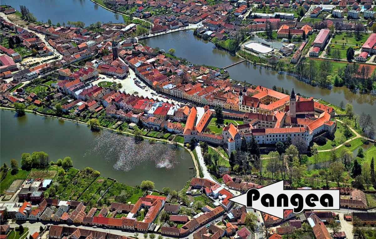 Hotel Pangea - Housity