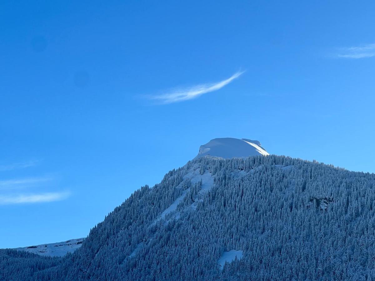 Vue générale sur la montagne ou vue sur la montagne depuis l'hôtel