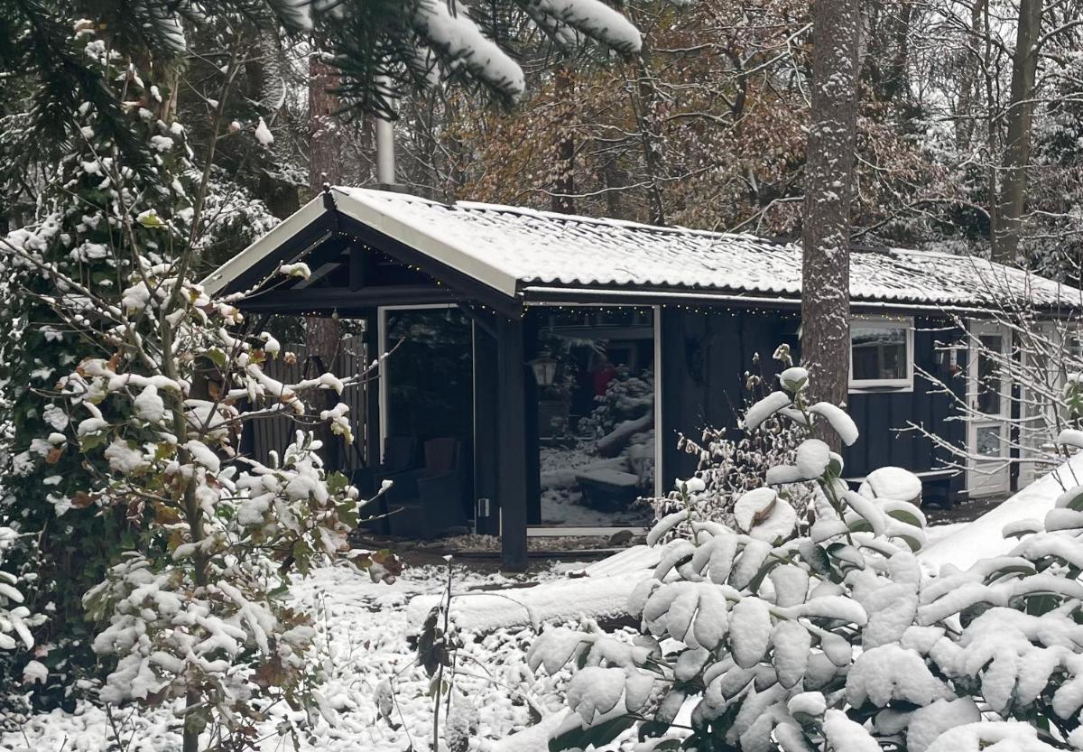 Boshuisje B&B - Housity
