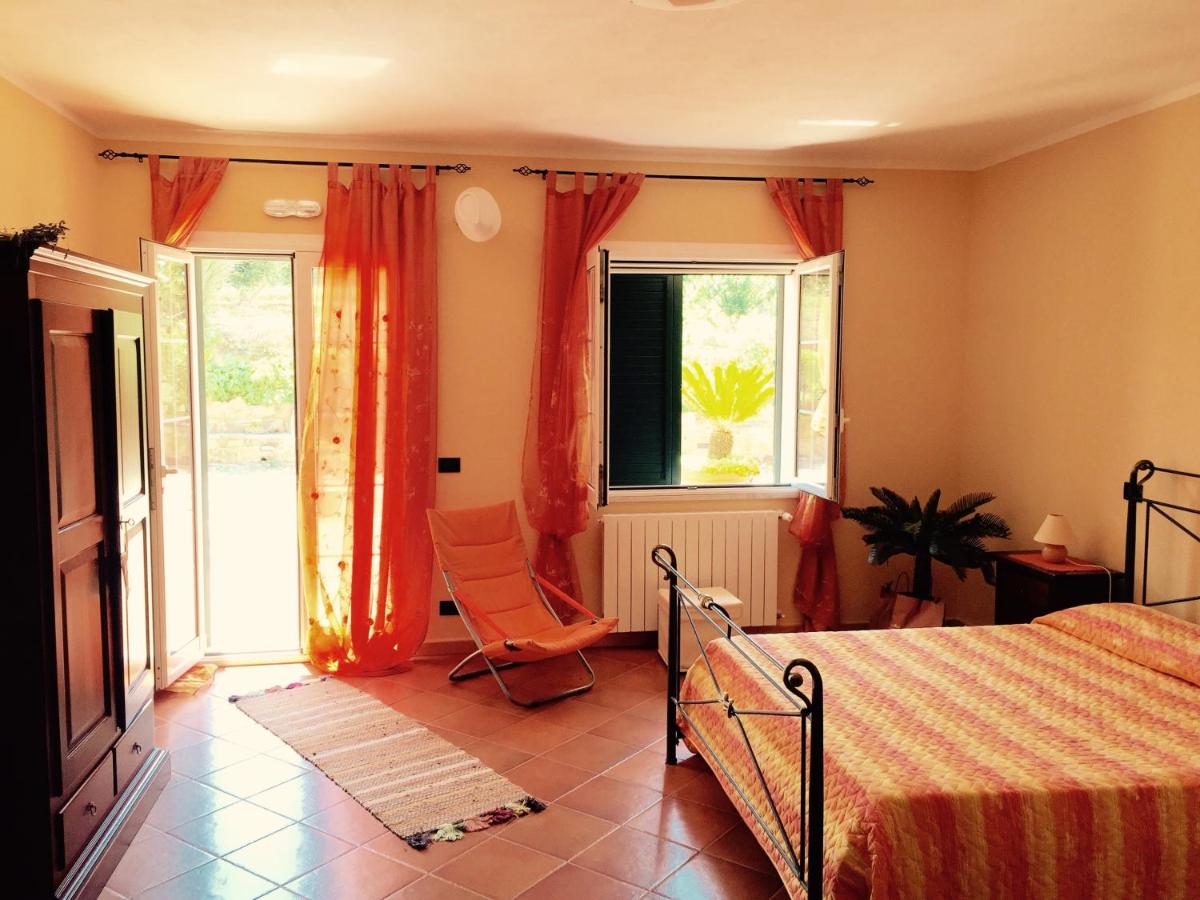 Villa della Mimosa - Housity