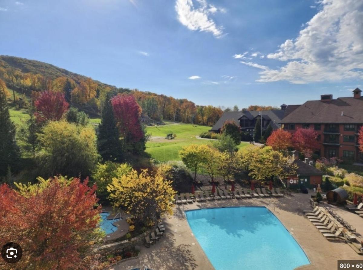 Cozy Mountain View Condo - Housity