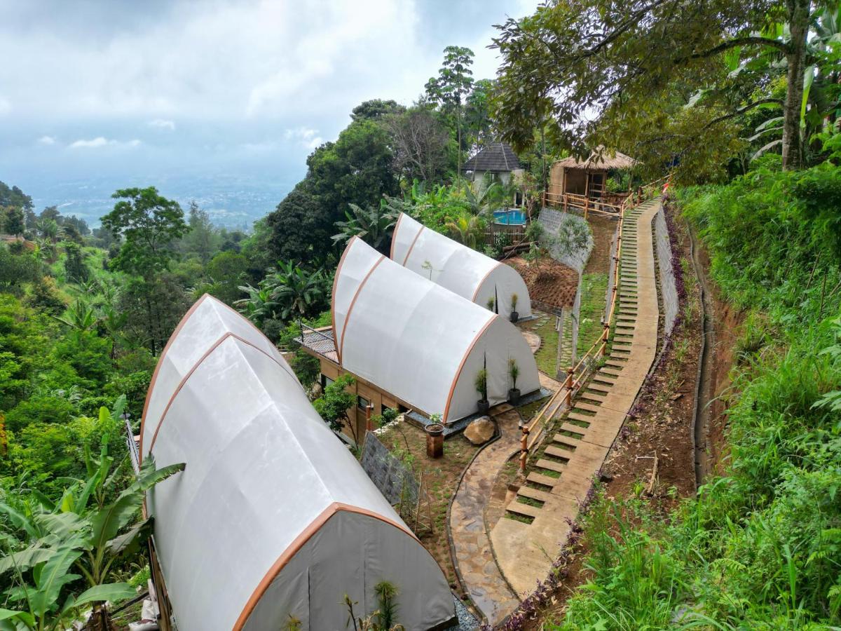 Selayang Olivehill - Kemewahan Glamping di Hutan - Housity