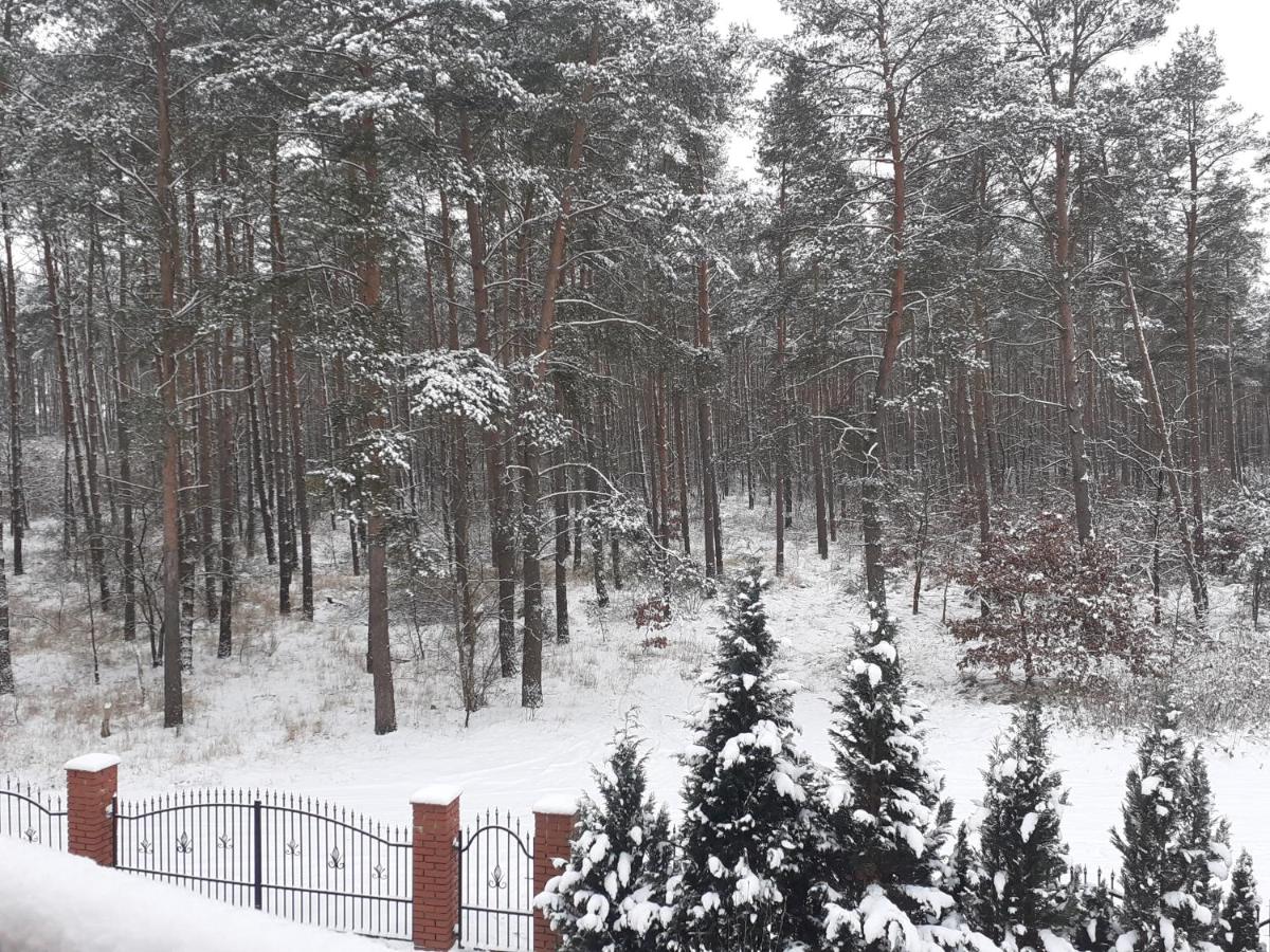 Noclegi Pod Dębem, Pulandia Brzózki - Housity